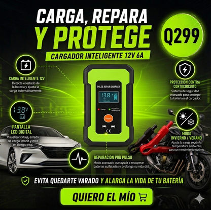 Cargador Inteligente de Batería para Motocicleta y Coche con Pantalla LCD Digital (RBA0100)